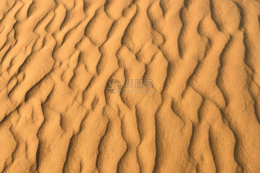 抽象的非洲金沙样板在弱者中沙漠图片
