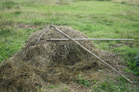 镰雅科夫列在干草堆上用藤叉和圈桩高清图片