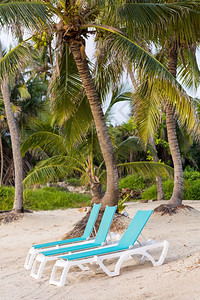 沙滩上的沙滩椅图片