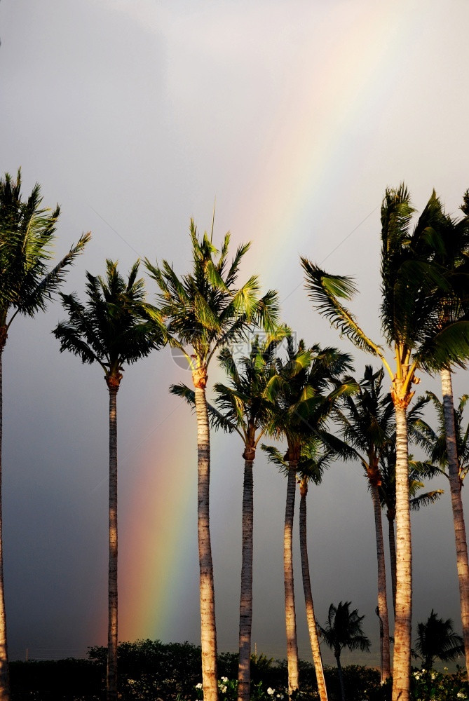 夏威夷天空的美丽彩虹图片