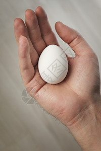 手中的鸡蛋背景图片