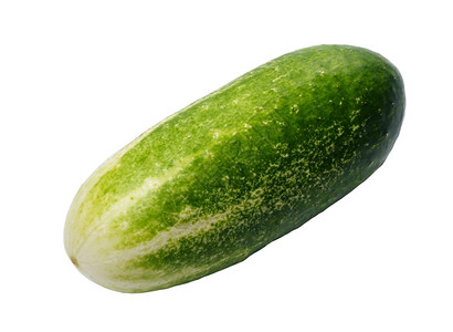 白色的多汁背景一只黄瓜与世隔绝蔬菜背景图片