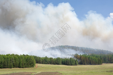 森林火灾上方烟雾云抽多于夏天图片
