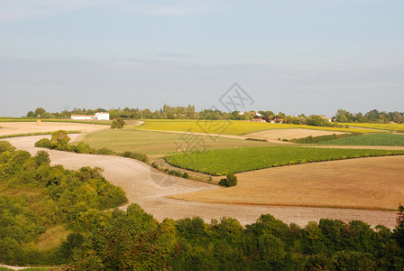夏朗德农业特斯村地貌欧洲背景图片