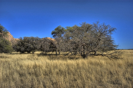 草原和天空拉纳佩斯高清图片