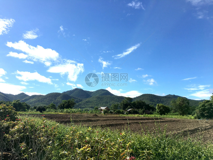 山底的菜地和杂草图片