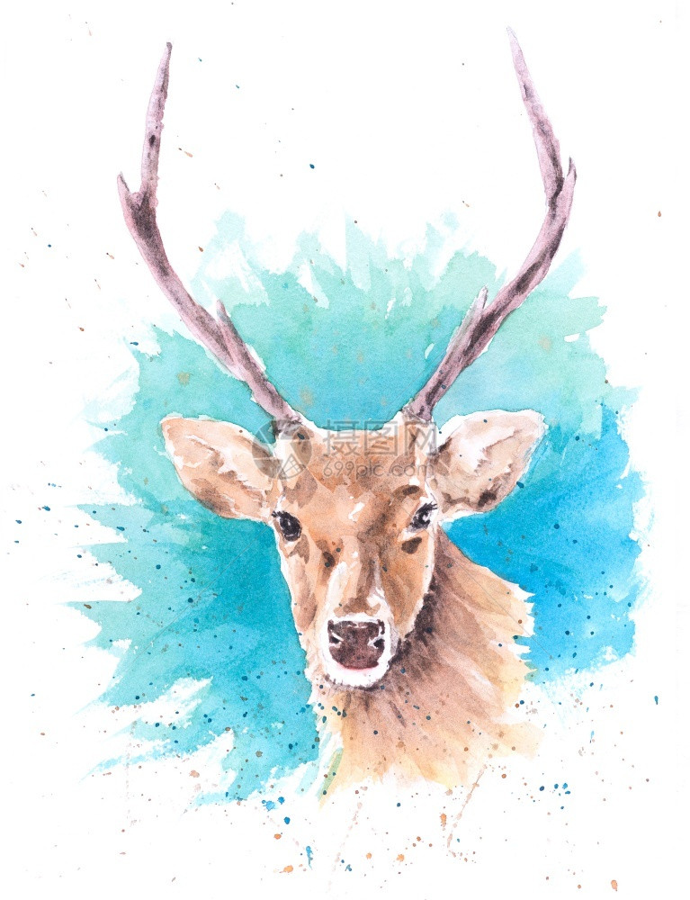 肖像刷子纸上美丽的手画水彩绿鹿自然图片