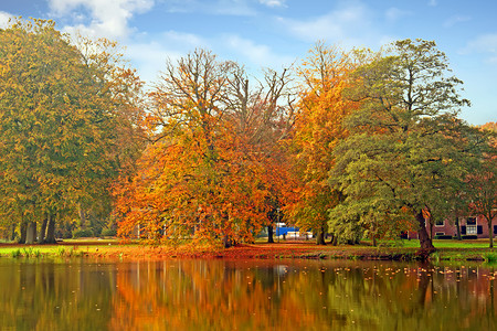 秋天的森林公园背景图片