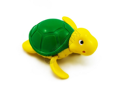 黄色海龟祝贺白色背景上的海龟孤立物体孩子绿色背景