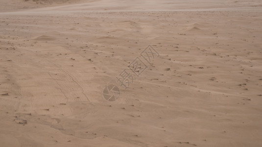 沙丘上的雕风暴和形成沙丘上的小型雕集团阿尔滕堡景观细节背景图片