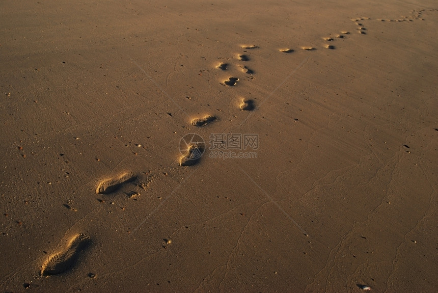 一种海滩湿沙中的脚印雅各布斯图片