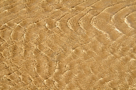 抽象的桑迪海滩上脊支撑质地背景图片