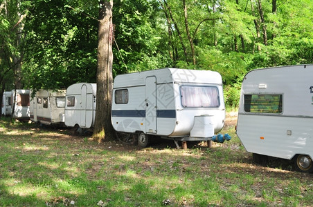 旅游在后面行树木的野外森林拖车营房背景图片