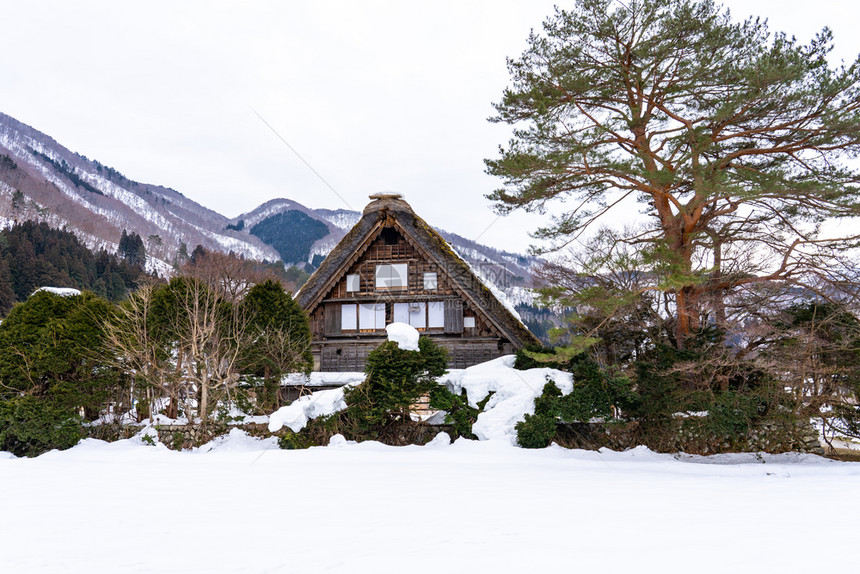 日本的一个被雪覆盖的山庄图片