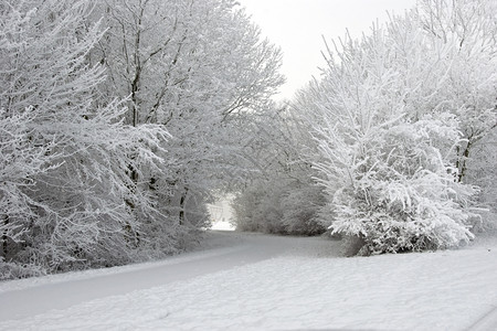 冰雪冬天景观图片