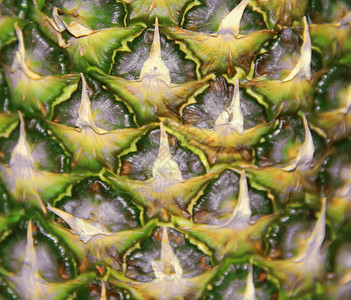 吃大开胃菠萝背景的色彩多图像质地结构体背景图片