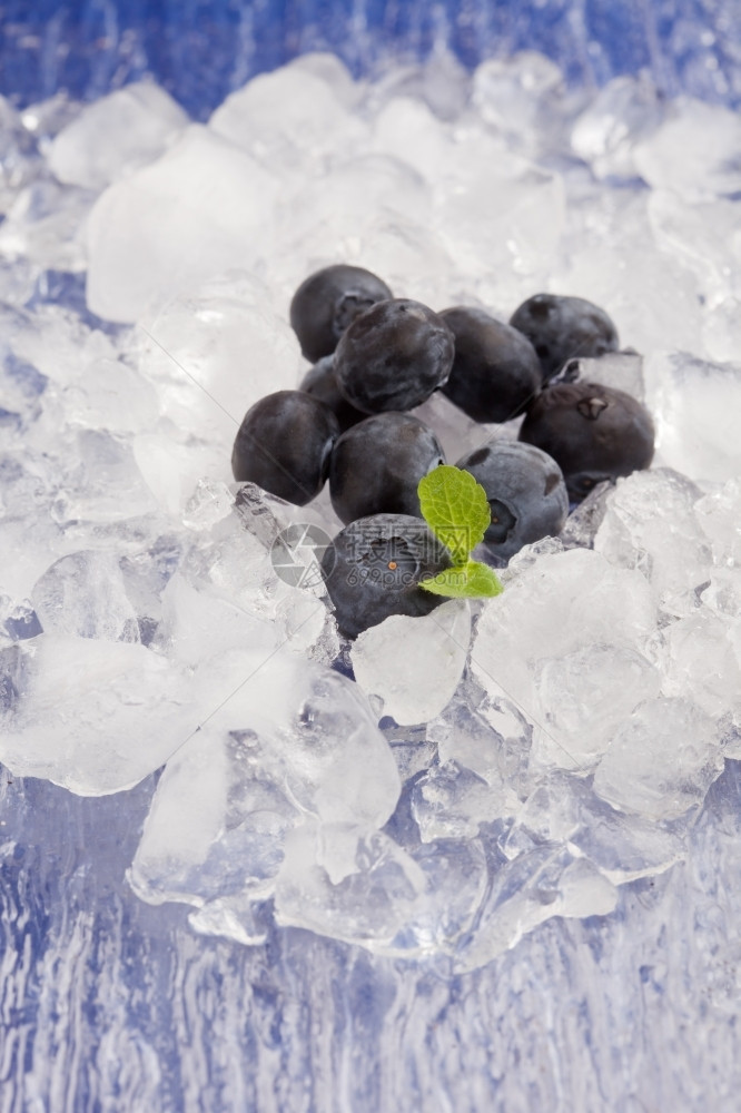 树叶浆果冰上蓝莓与薄荷叶的相片图片