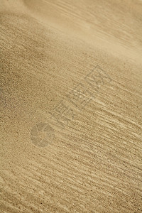 浅褐色的地球近距离关闭沙丘浅水深野外质地图片