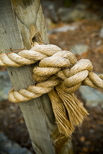 绳索绑大型渔的重结图片