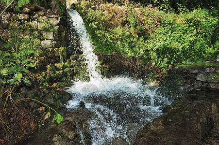 山间的溪水泉水图片