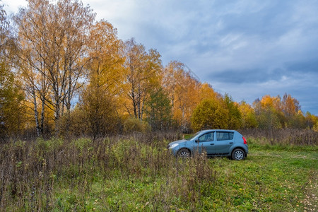 秋天户外公园上的汽车图片