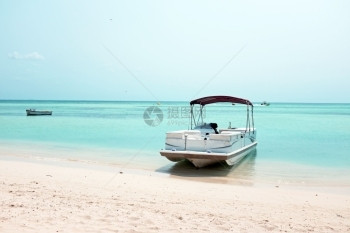 热带运输加勒比海阿鲁巴岛棕榈海滩上的船加勒比阿鲁巴岛图片