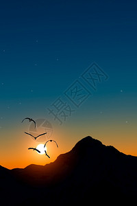 落日和飞燕图片