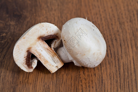 新鲜的白色蘑菇图片