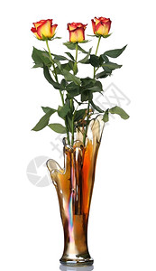 玻璃花瓶中的红玫瑰与世隔绝猩红花束白色的图片