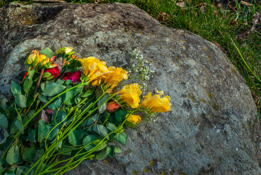在岩石上放一束玫瑰花适合制作背景图象造合适的黄色图片