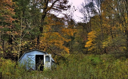 秋天树林里的小木屋图片