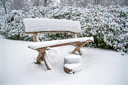 白雪皑皑的树木和长椅图片