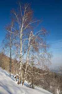 雪山上的滑雪跑道图片