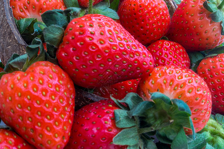 新鲜的草莓特写图片