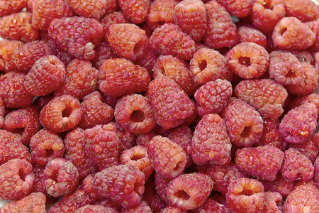 新鲜的浆果健康背景相片新鲜红草莓照片图片