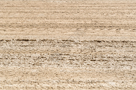 西班牙桑坦德海滩上的沙草质形象自然粒状图片