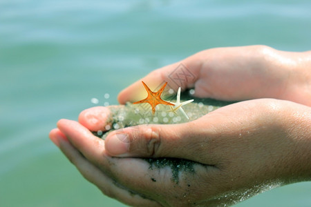 自然鱼星有沙和的手蓝光图片