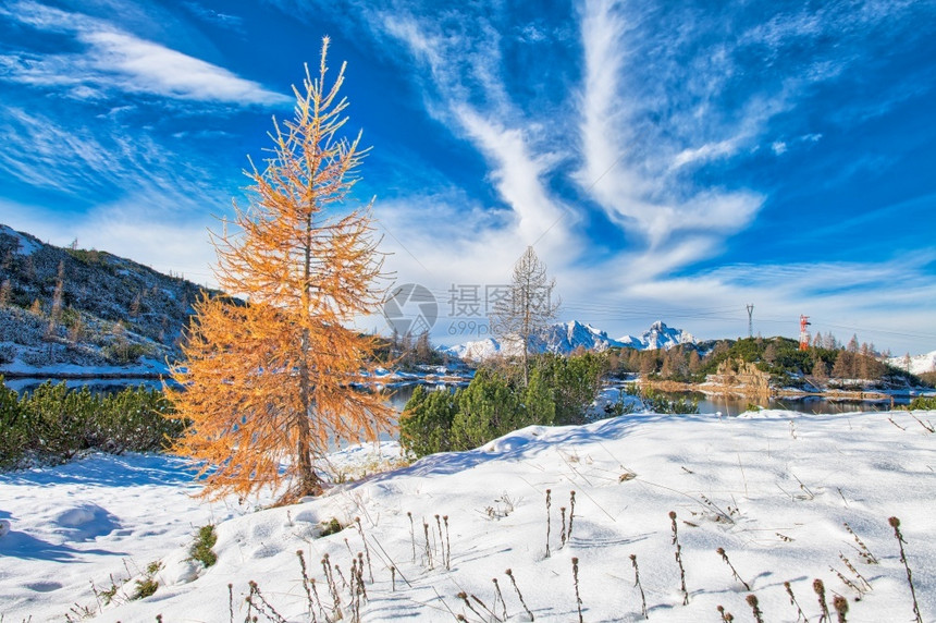 冬天的雪地和天空图片