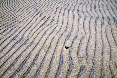 正午沙丘风浪和阴影移动波罗的海景观设计图片