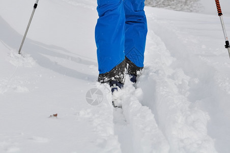 在雪地里滑雪的年轻人图片