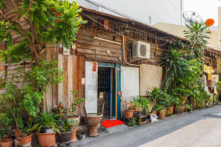 植物泰国曼谷旧茶屋海伦传统的图片