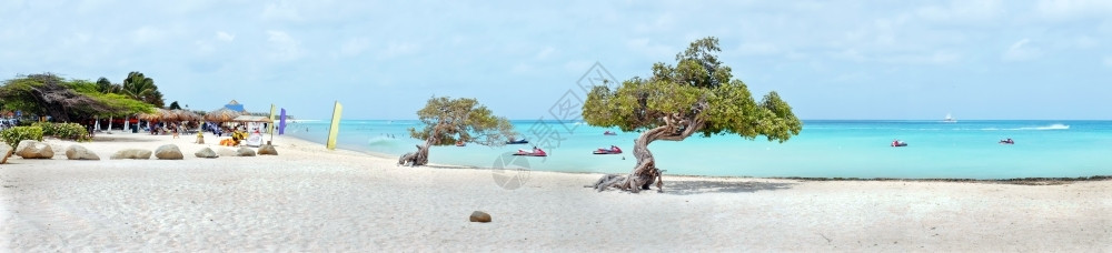 旅游的热带从加勒比海阿鲁巴岛的鹰海滩上摘取全景海图片