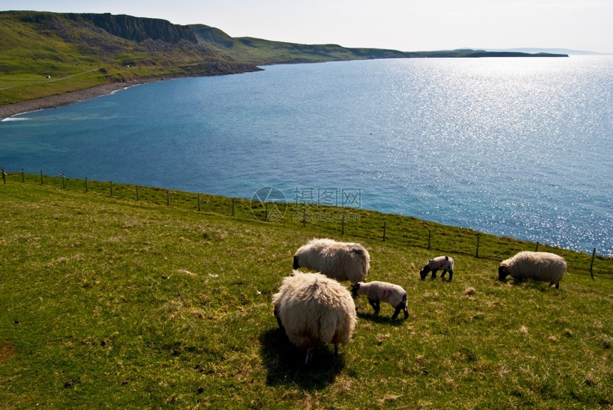 苏格兰斯凯岛的风景图片
