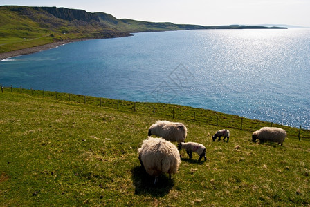 苏格兰斯凯岛的风景图片