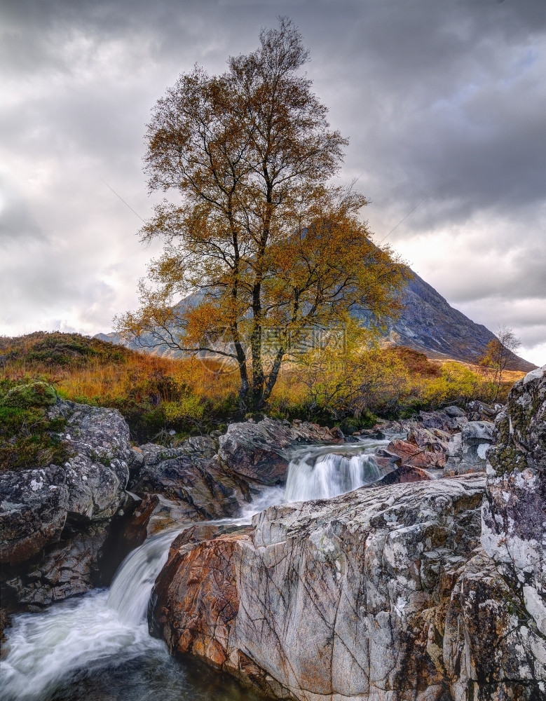 秋季山上留下的小溪流图片