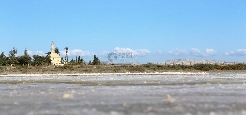 手掌古老的风具有清真寺和盐湖底棕榈的塞浦路斯Larnaka地貌景观图片