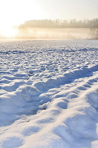 场地乡村的冬天早晨靠近雪覆盖的田野冬天雪覆盖田野风景图片