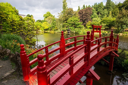 日本花园里的红桥图片