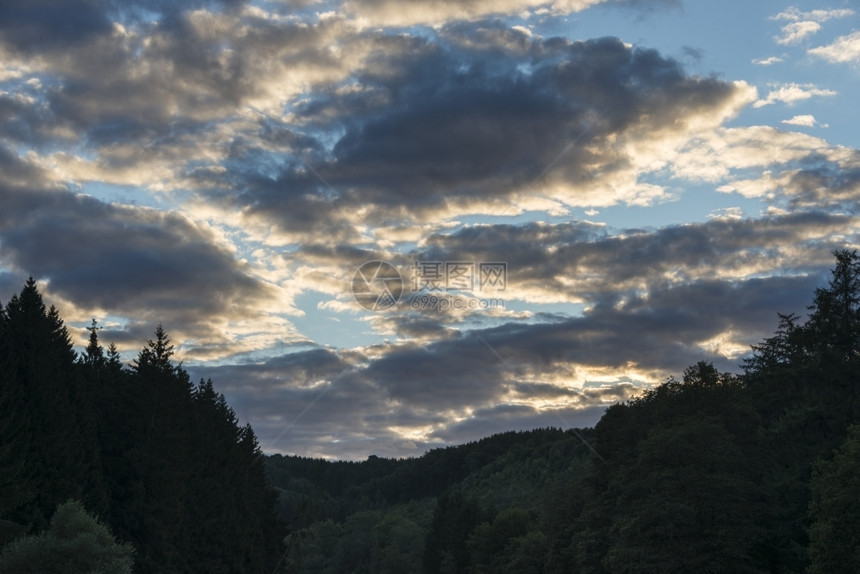 天空白云和阳光的自然景观树木图片