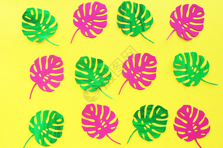 派对制作粉色和绿皮纸上用黄背景图案制成的怪兽叶粉色背景图片